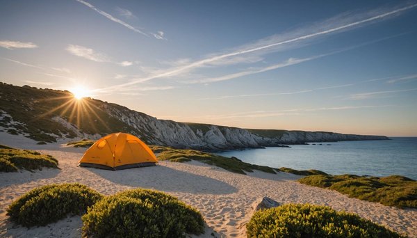 Découvrez le camping pointe de la torche : nature et confort