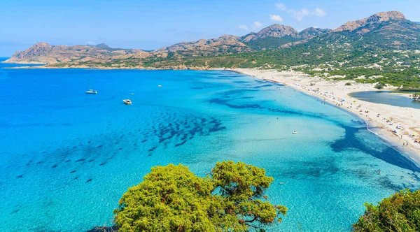 Camping Calvi Bord de Mer : Des Vacances en Corse au Bord de la Mer